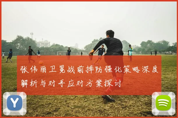 张伟丽卫冕战前摔防强化策略深度解析与对手应对方案探讨
