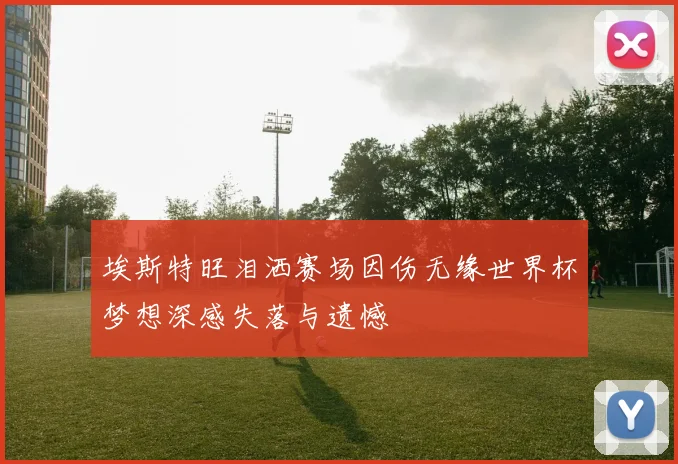 埃斯特旺泪洒赛场因伤无缘世界杯梦想深感失落与遗憾